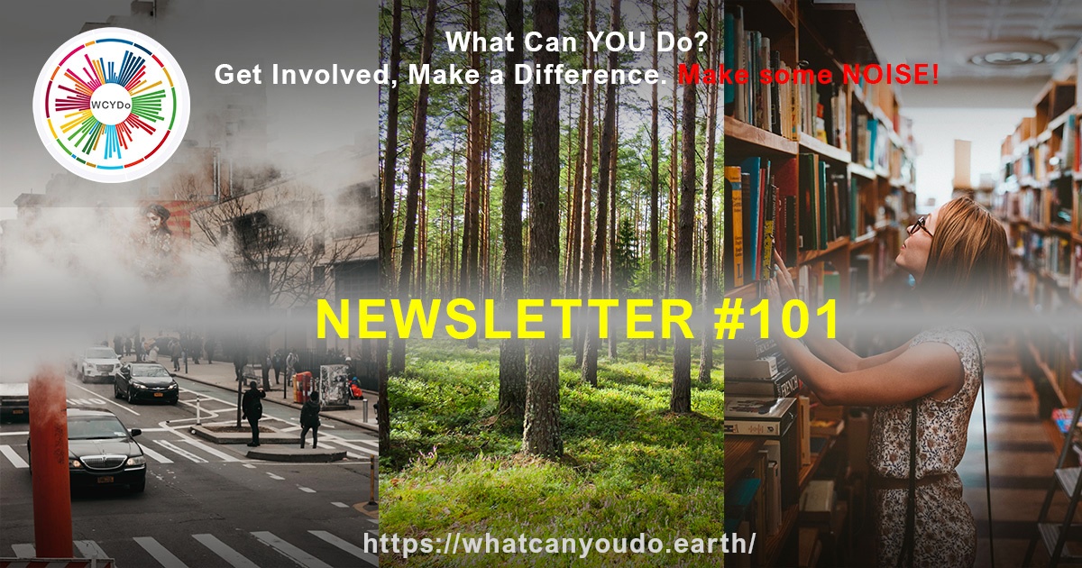 What Can You Do Newsletter 101