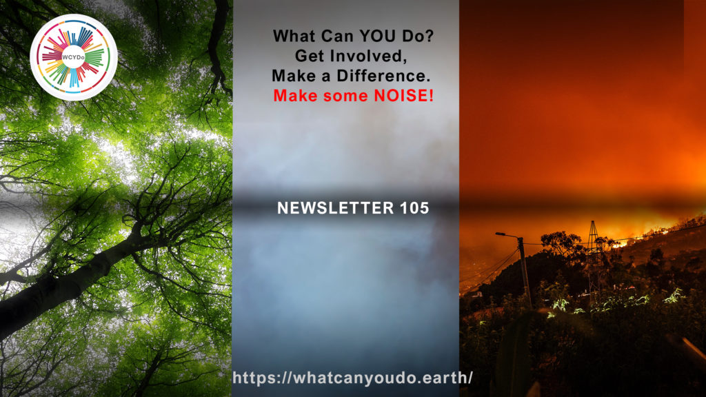 What Can You Do Newsletter 105
