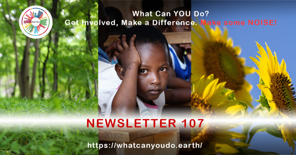 What Can You Do Newsletter 107