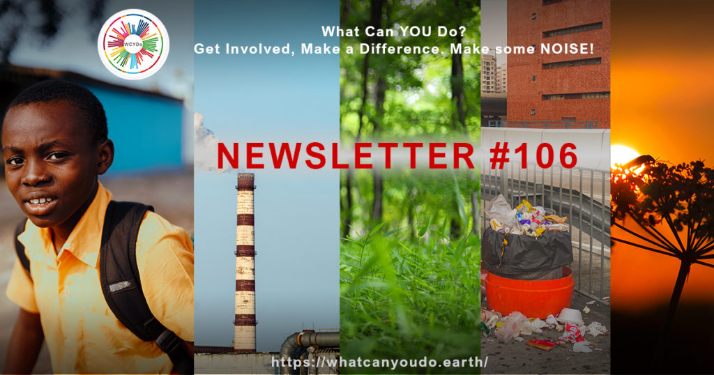 What Can You Do Newsletter 106