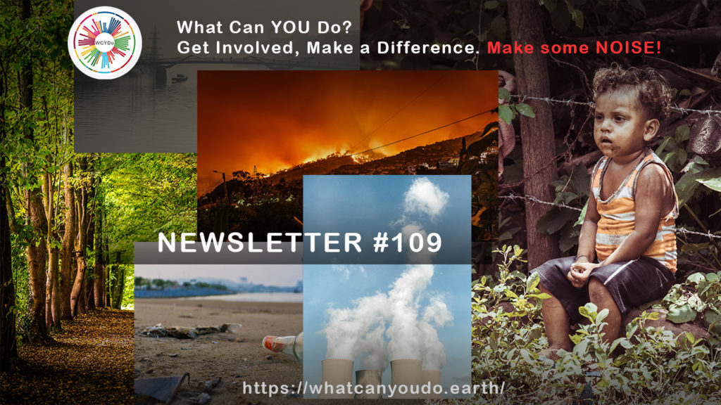 What Can You Do Newsletter #109