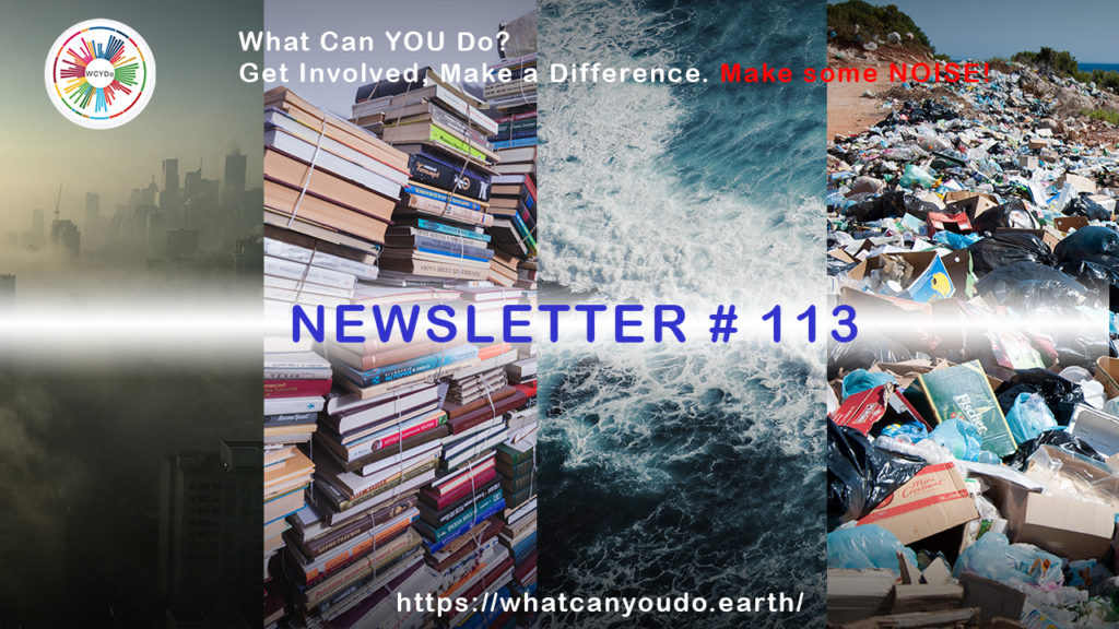 What Can You Do Newsletter # 113