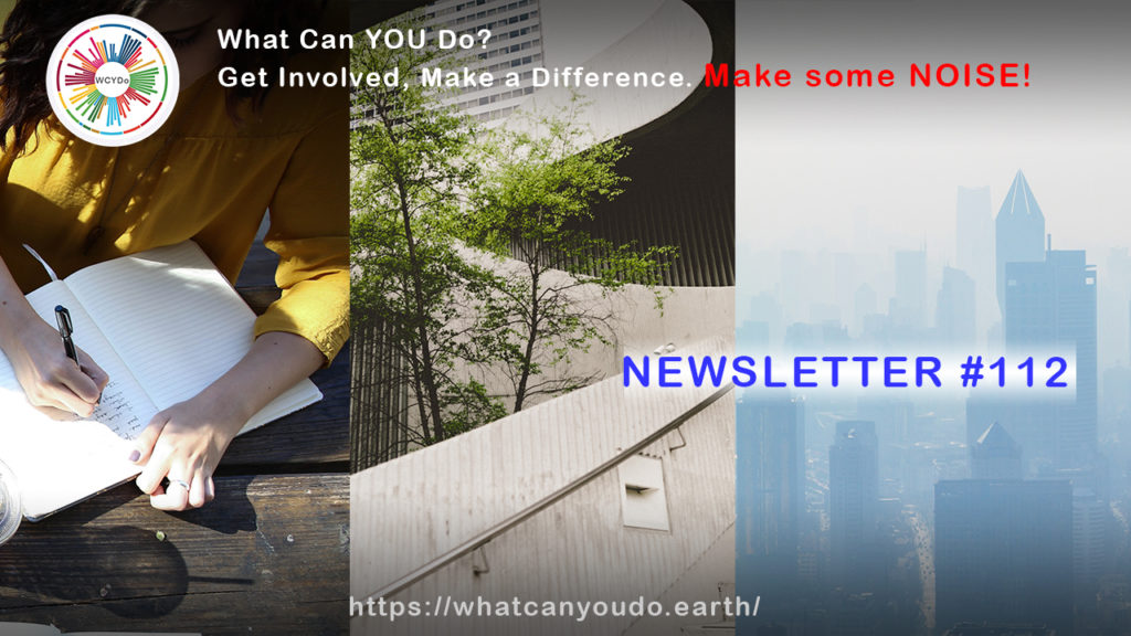 What Can You Do Newsletter #112