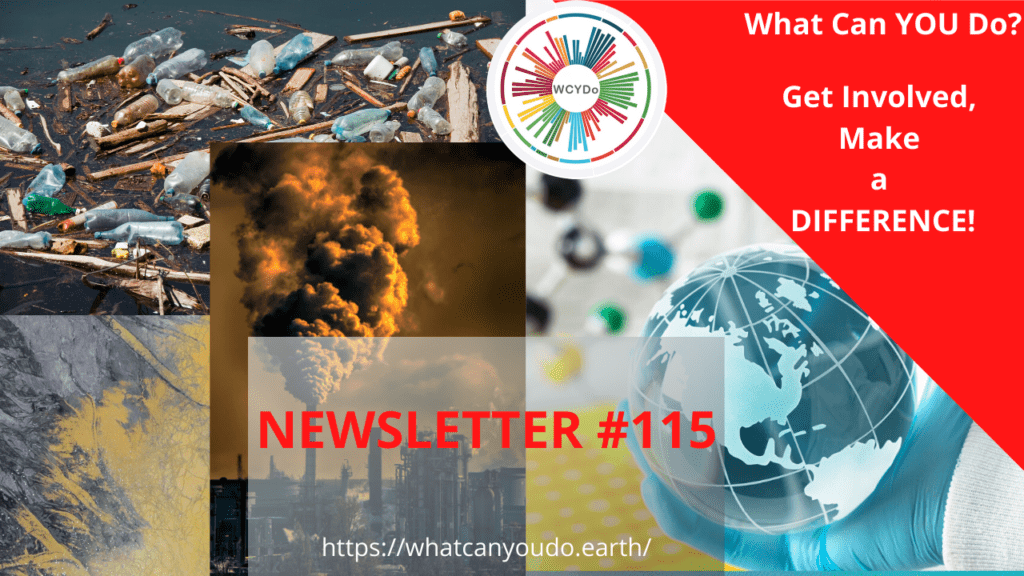 What Can You DO Newsletter #115
