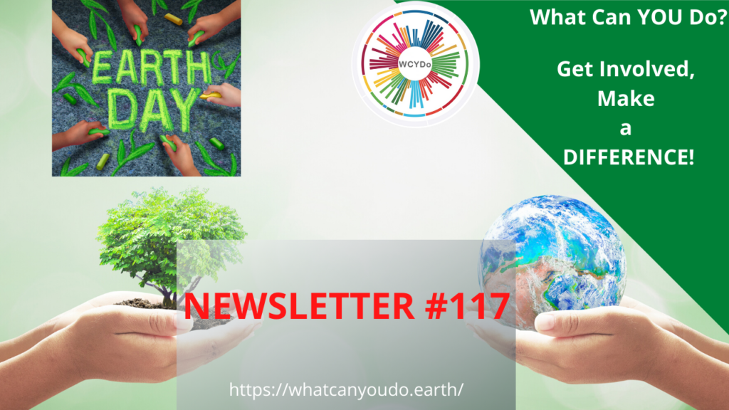 What Can You Do Newsletter 117