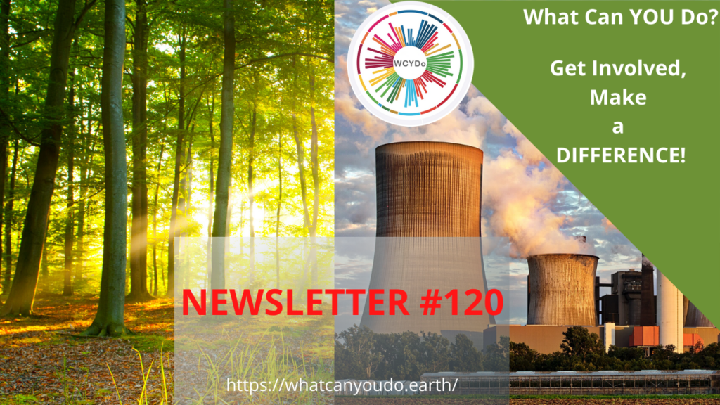 What Can You Do Newsletter 120