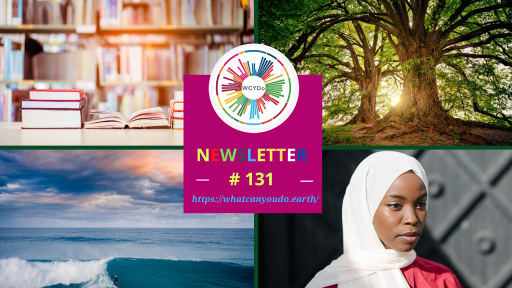 What Can You Do Newsletter 131