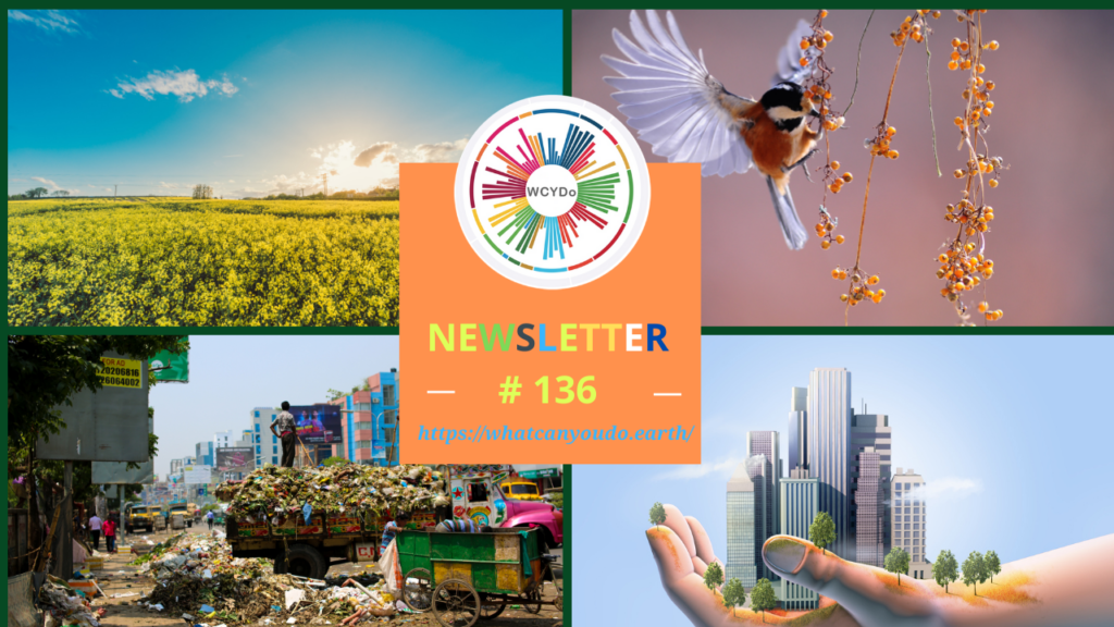 What Can You Do Newsletter #136