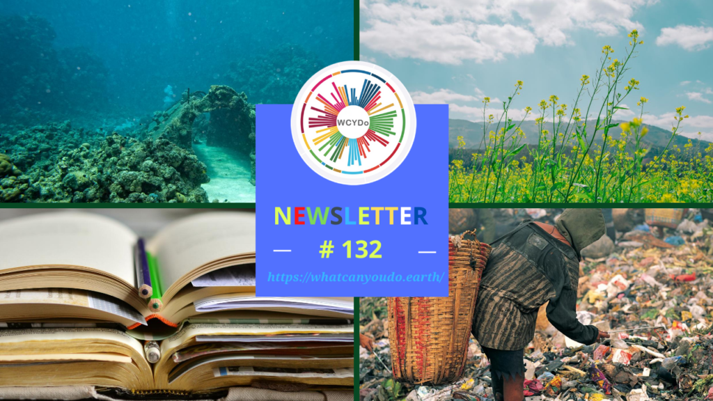 What Can You Do Newsletter 132