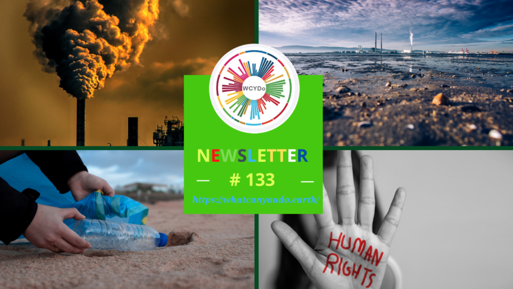 What Can You Do Newsletter # 133