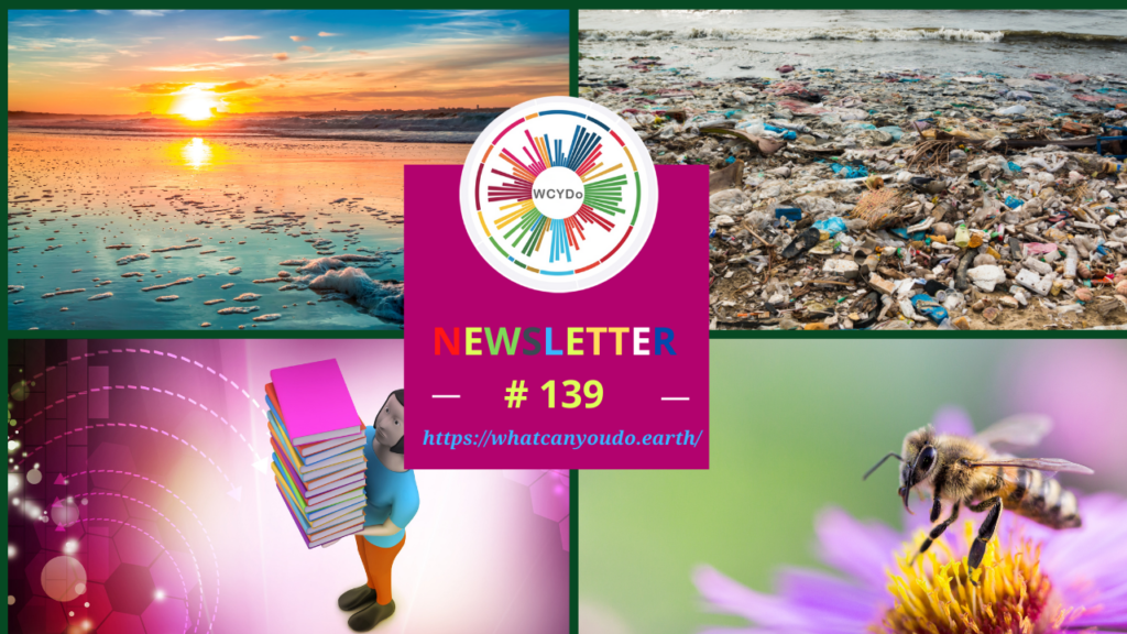 What Can You Do Newsletter #139