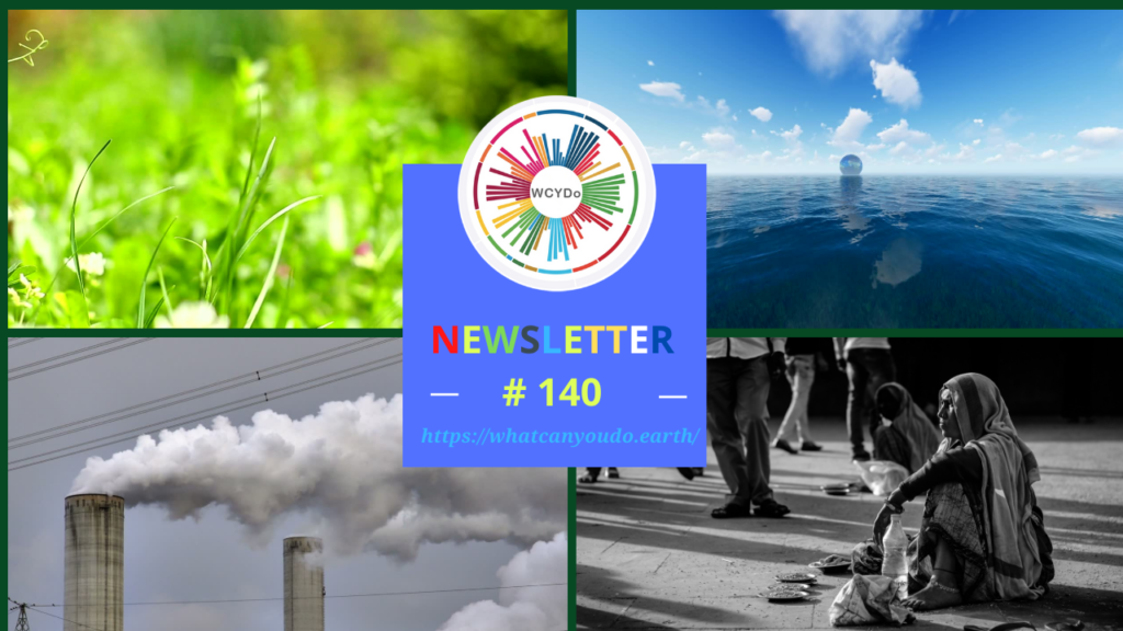 What Can You Do Newsletter #140