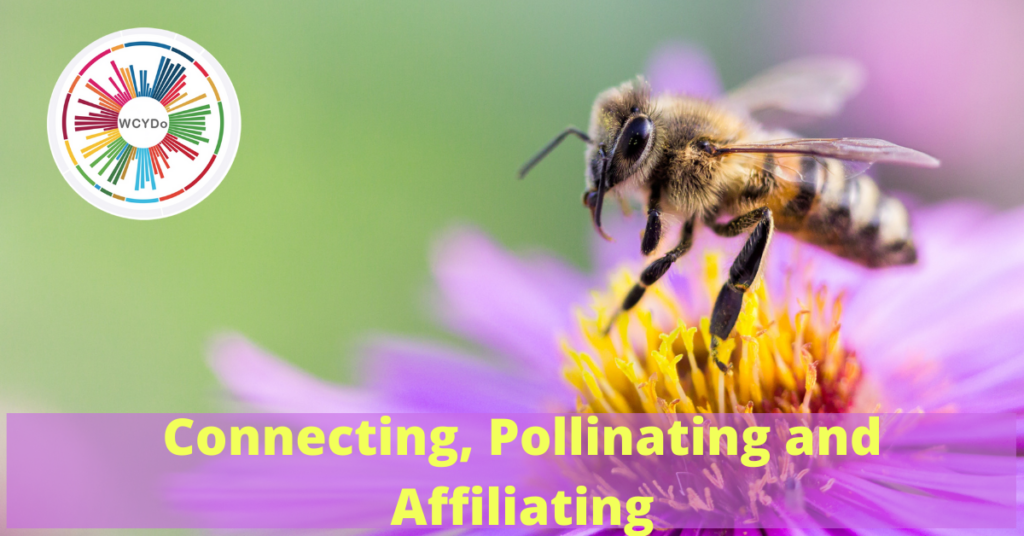 Connecting, Pollinating and Affiliating