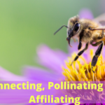 Connecting, Pollinating and Affiliating
