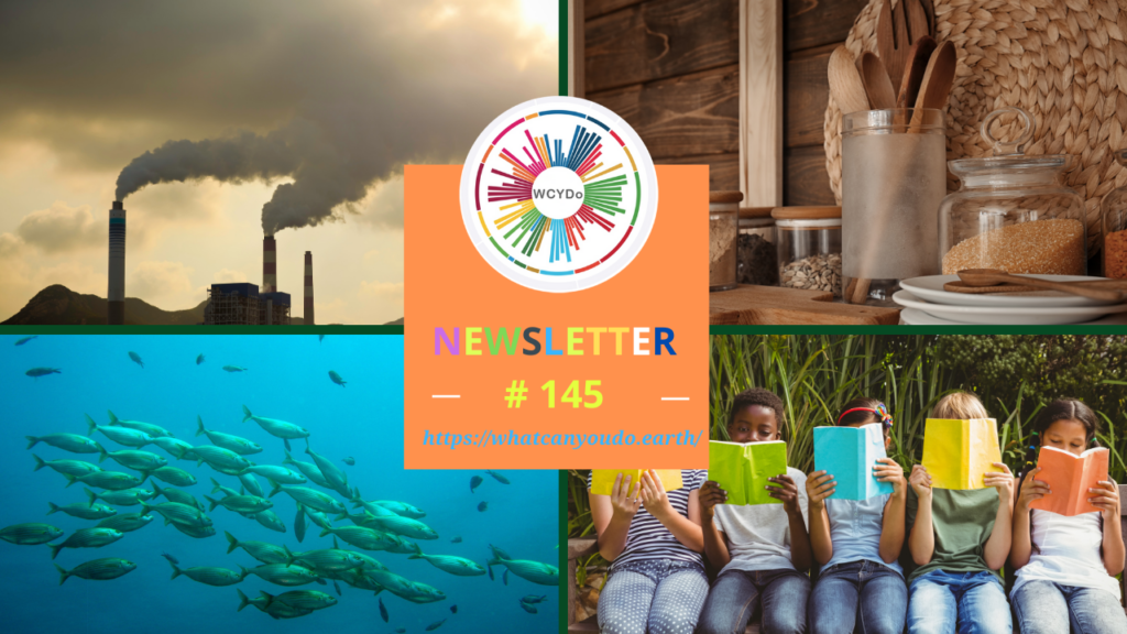 What Can You Do Newsletter #145