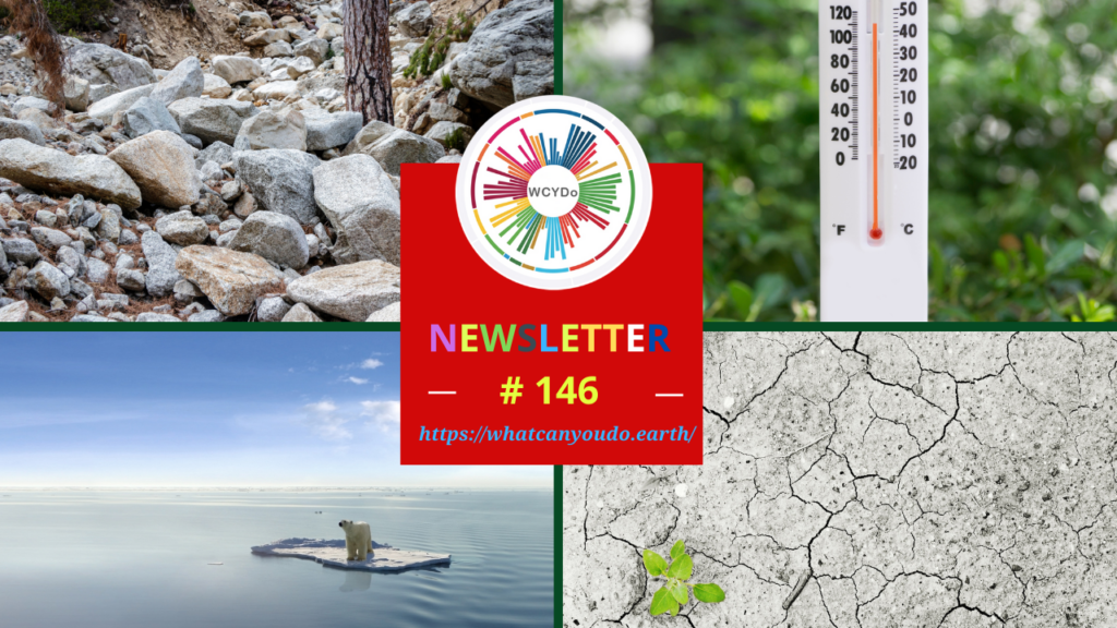 What Can You Do Newsletter #146