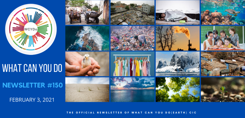 What Can You Do Newsletter #150