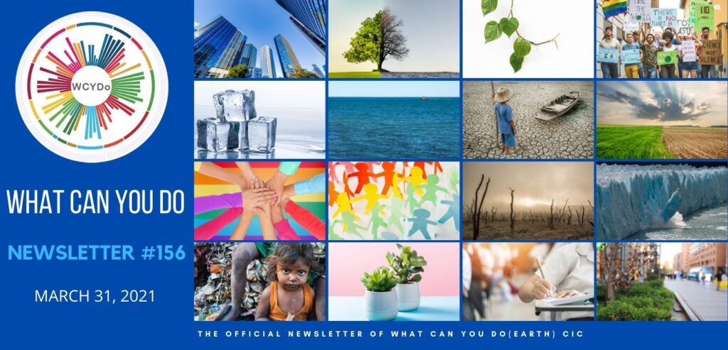 What Can You Do Newsletter #156