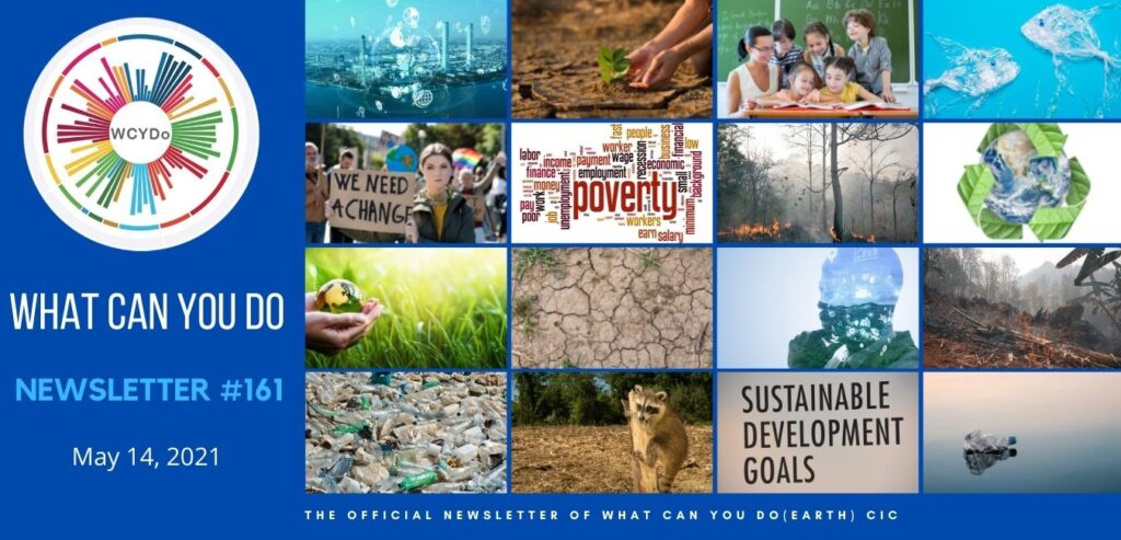 What Can You Do Newsletter #161