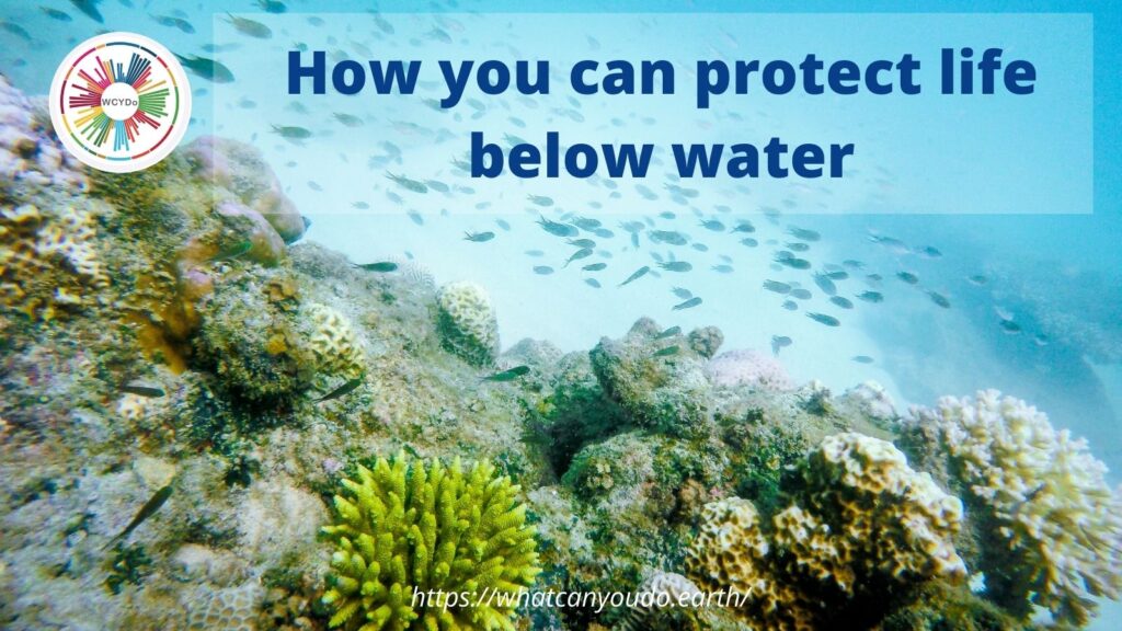 How you can protect life below water