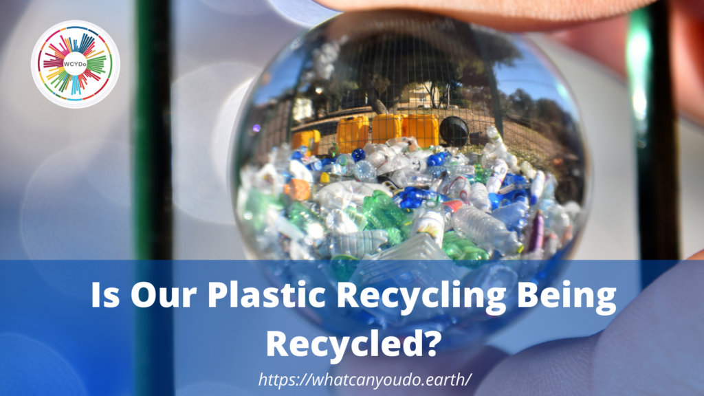 Is Our Plastic Recycling Being Recycled?