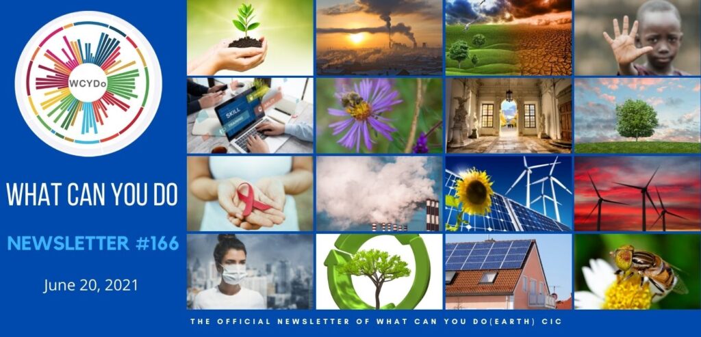 What Can You Do Newsletter #166