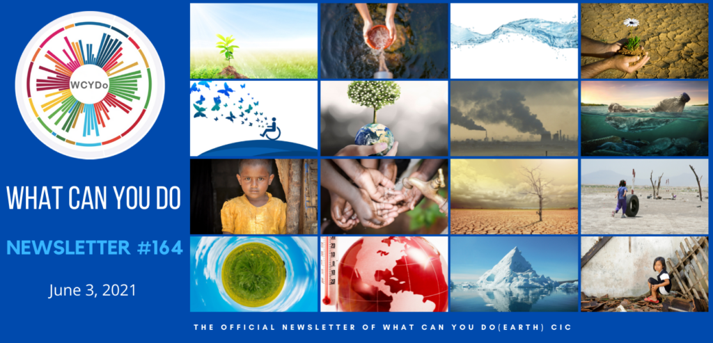 What Can You Do Newsletter #164