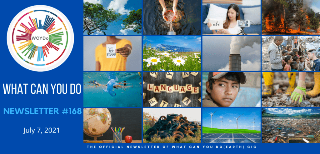 What Can You Do Newsletter #168