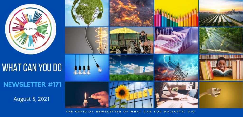 What Can You Do Newsletter #171