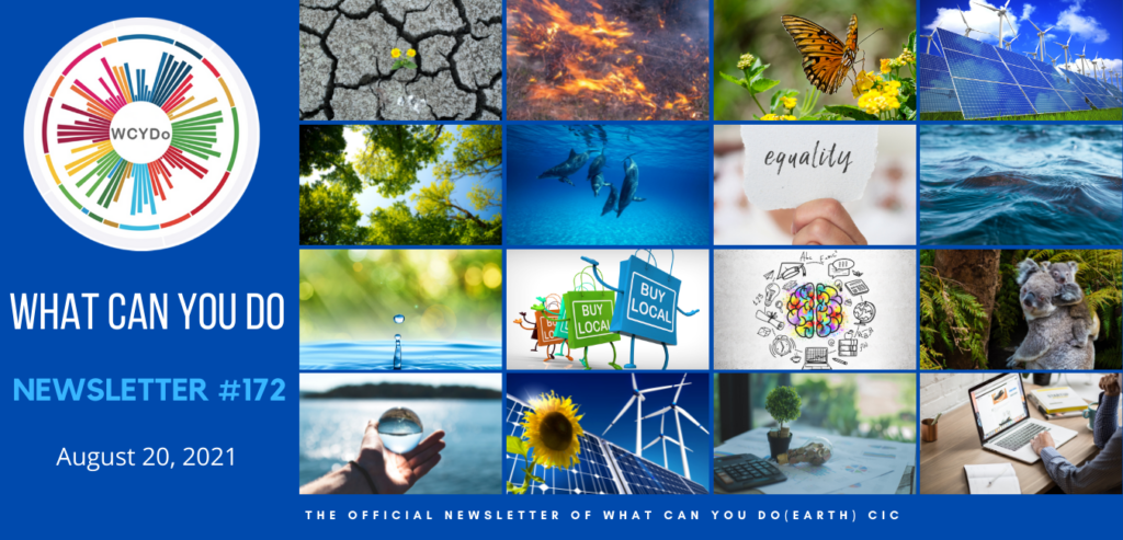 What Can You Do Newsletter #172