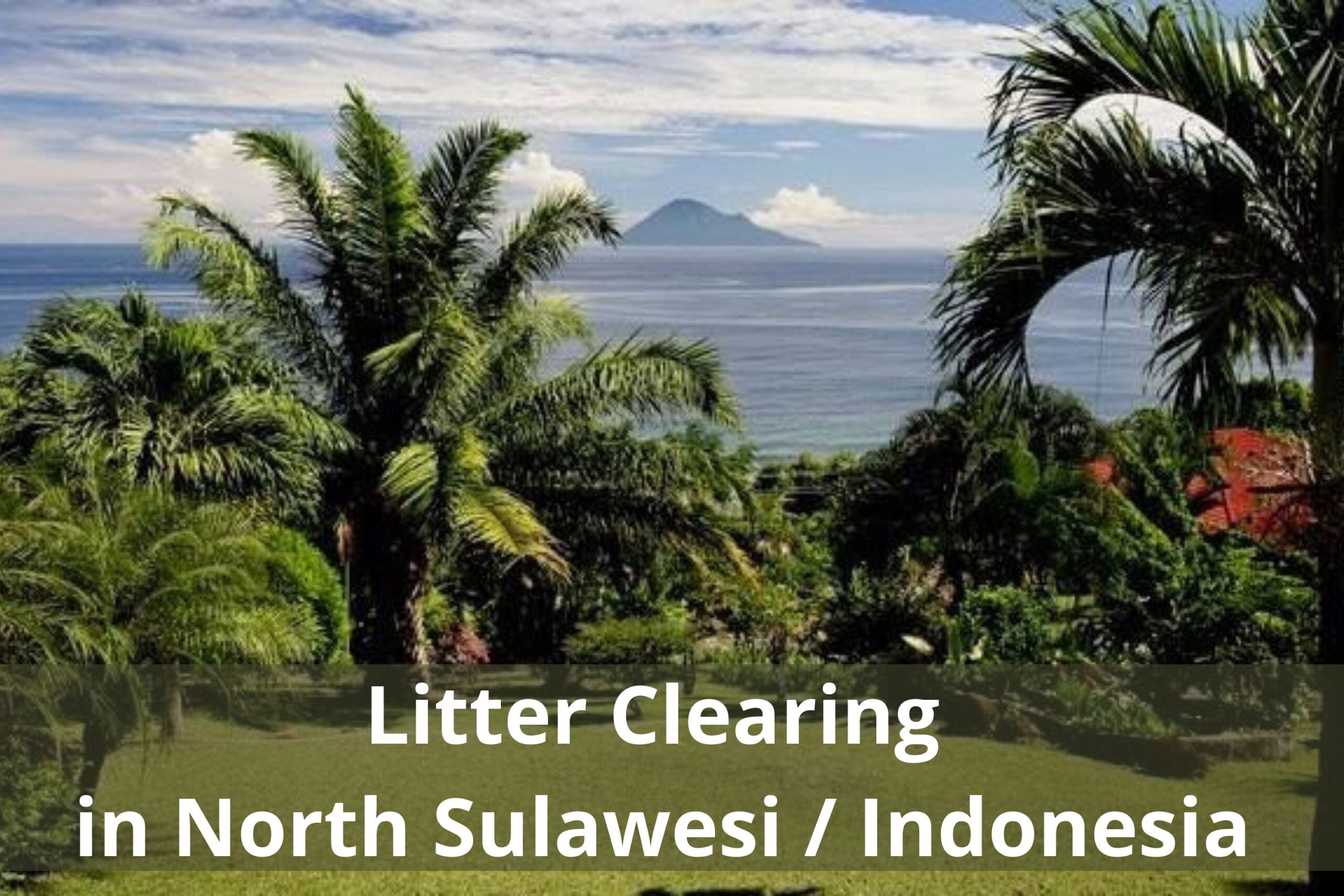 Litter Clearing in North Sulawesi