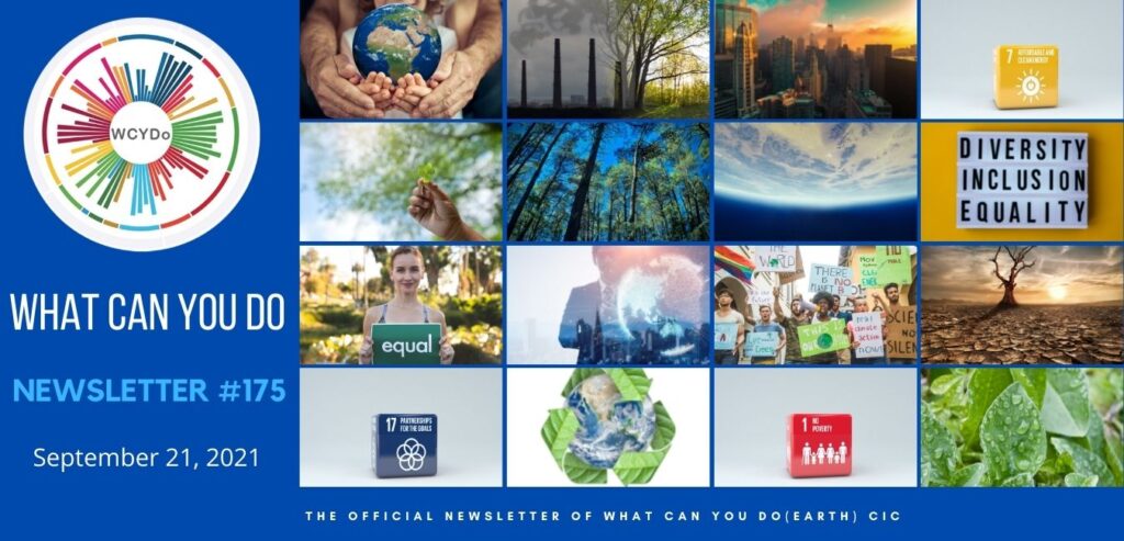 What Can You Do Newsletter 175