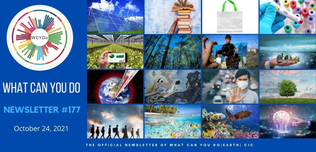 What Can You Do Newsletter #177