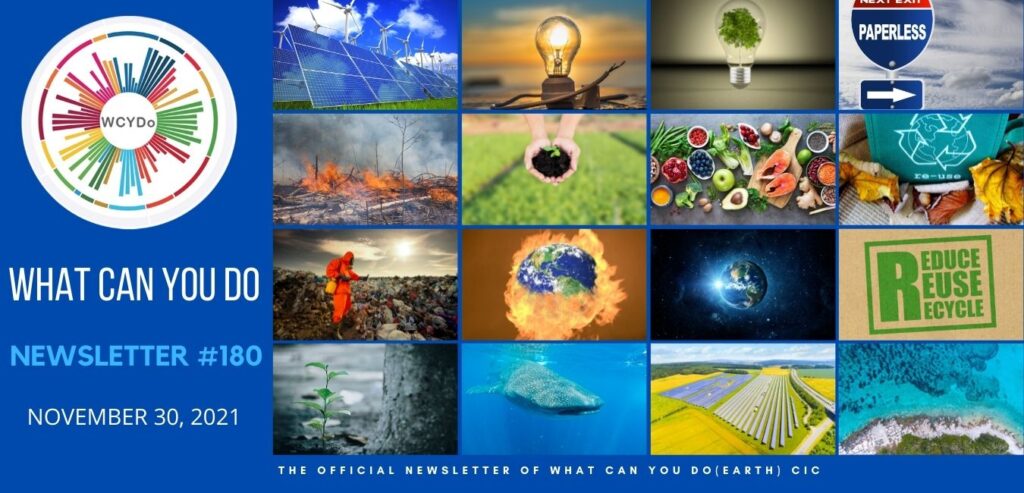 What Can You Do Newsletter #180