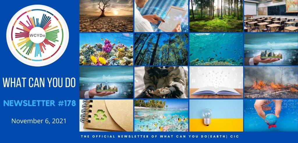 What Can You Do Newsletter #178