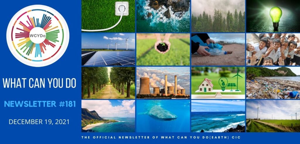 What Can You Do Newsletter #181