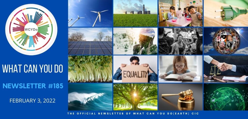 What Can You Do Newsletter #185