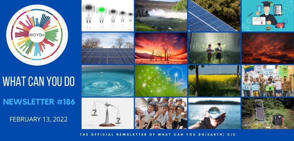 What Can You Do Newsletter #186