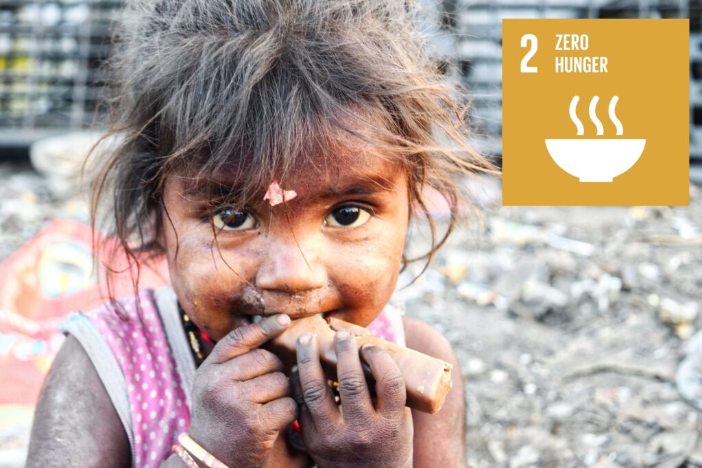 SDG2 Hunger - An Update