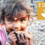 SDG2 Hunger - An Update