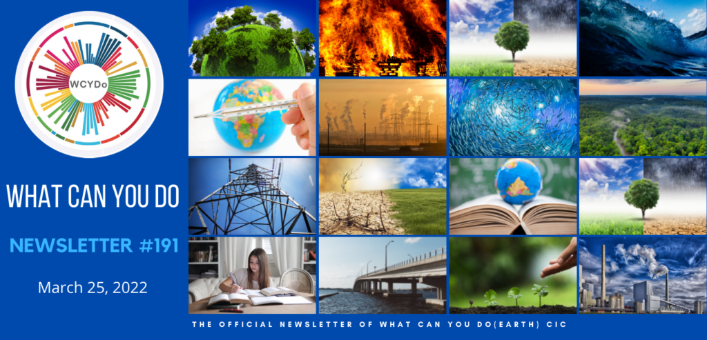 What Can You Do Newsletter #191