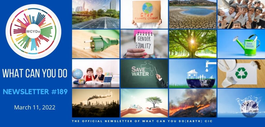 What Can You Do Newsletter 189