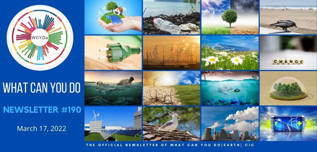 What Can You Do Newsletter #190