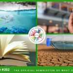 What Can You Do Newsletter 202