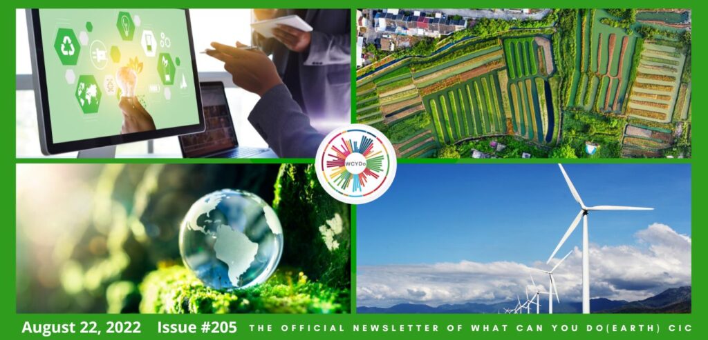 What Can You Do Newsletter #205