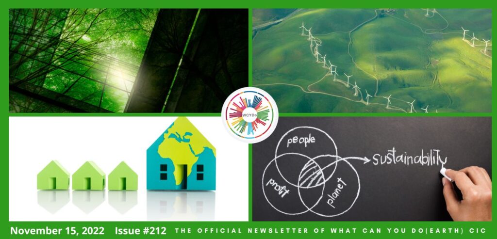 What Can You Do Newsletter #212