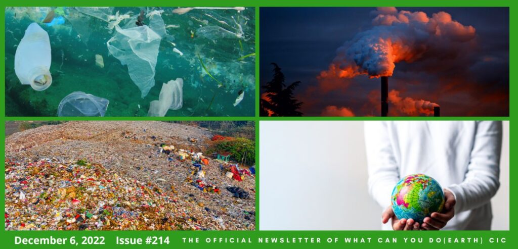 What Can You Do Newsletter #214