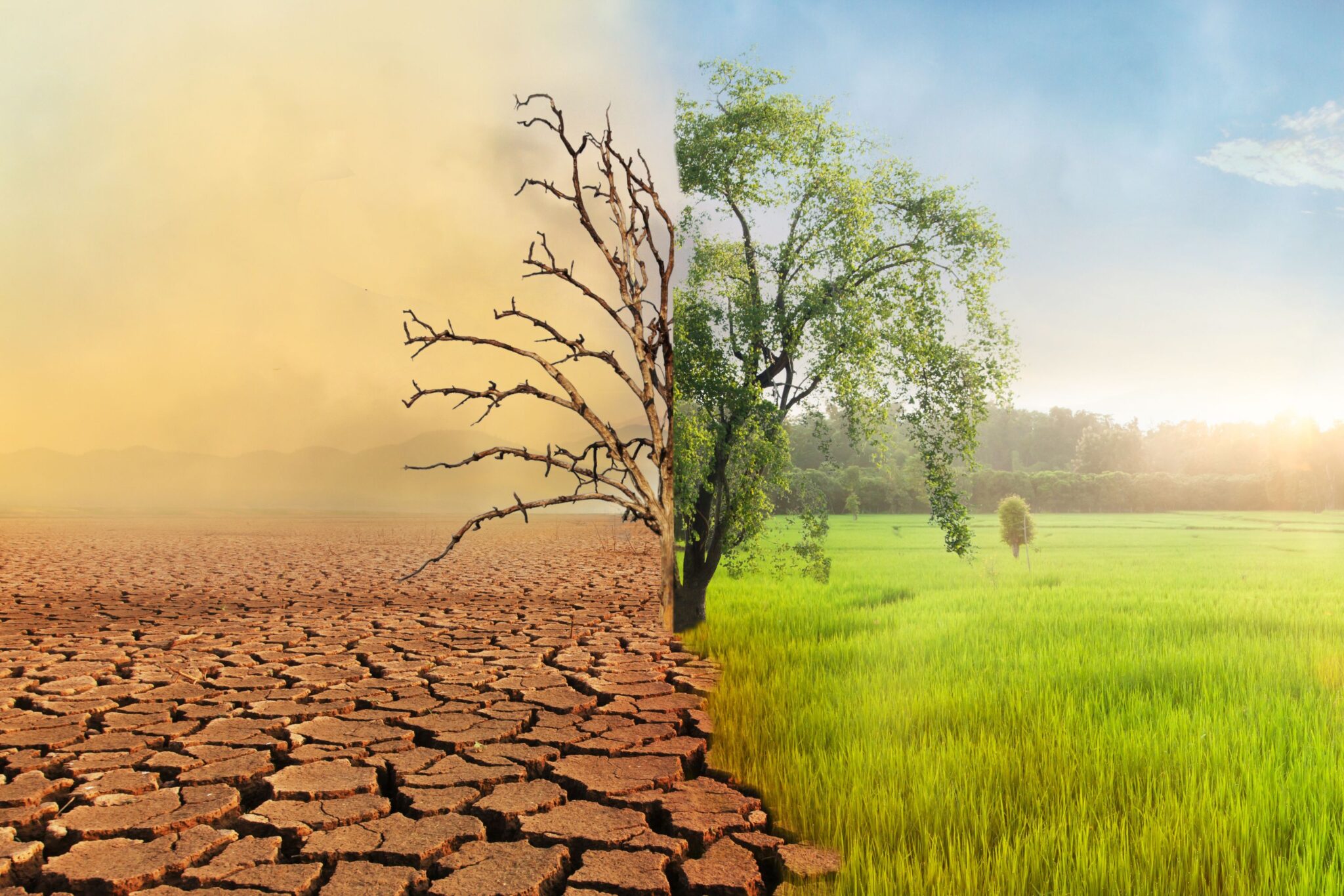 What Can You Do to help stop Climate Change – What Can YOU Do?