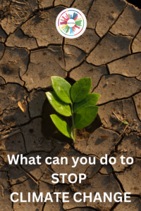 What Can You Do to help stop Climate Change – What Can YOU Do?