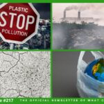 What Can You Do Newsletter #217